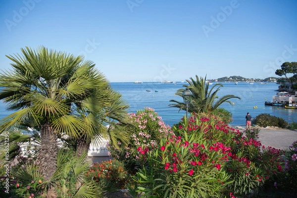 Obraz beach with trees and sea