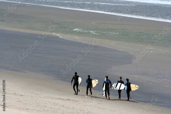 Obraz surf team