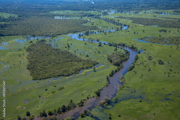 Fototapeta アマゾン川