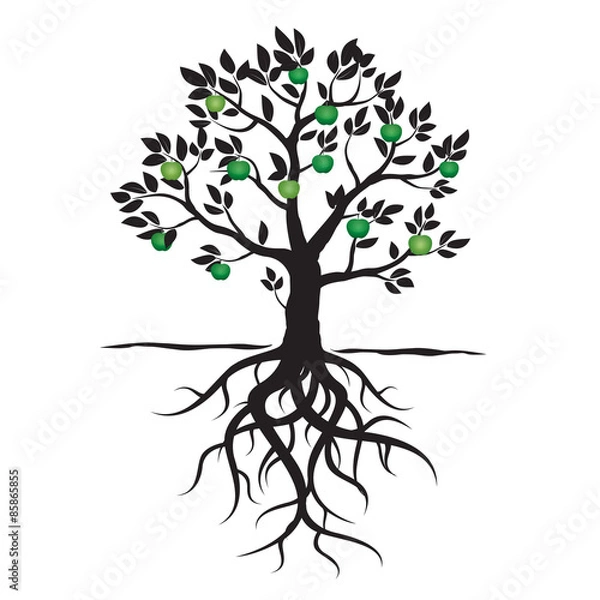 Fototapeta Black vector tree, leafs, roots and green apple