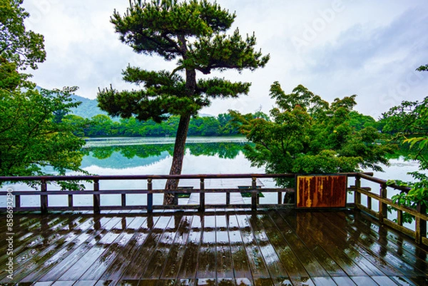 Obraz 京都、大覚寺大沢の池