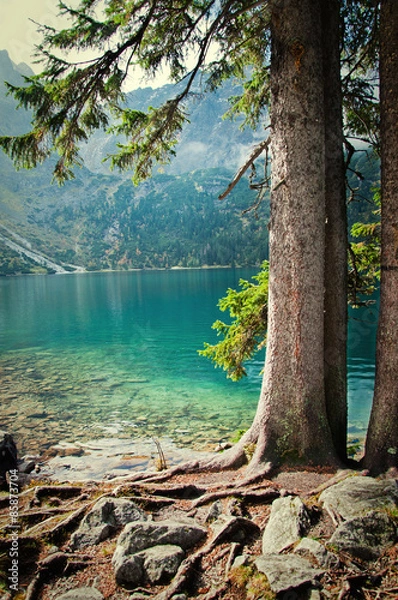 Fototapeta  landscape 