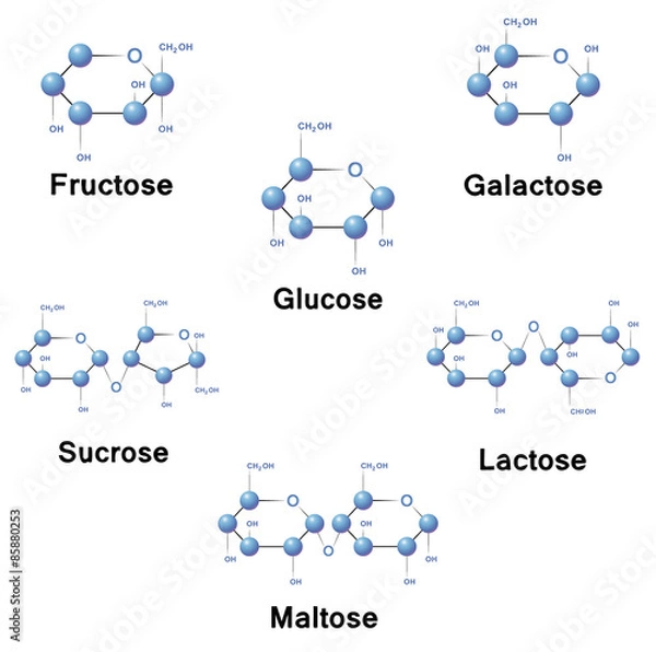 Obraz Sugar molecules