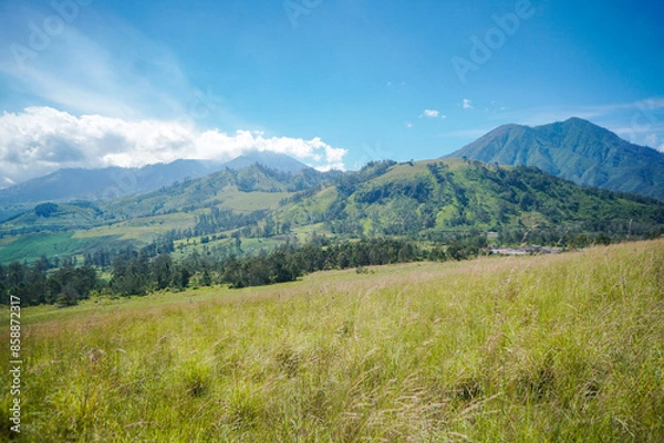 Fototapeta scenic landscape view on the wurung crater, east java