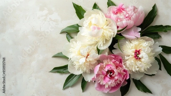 Obraz Pink and white peony flowers on a light background with text space for postcard greeting and gift Top view