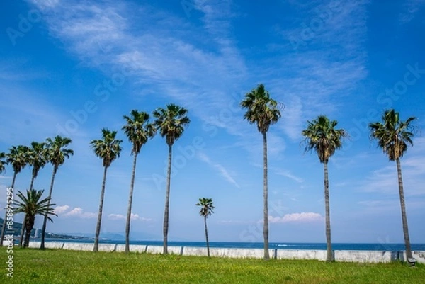 Obraz 淡路島浦海浜公園