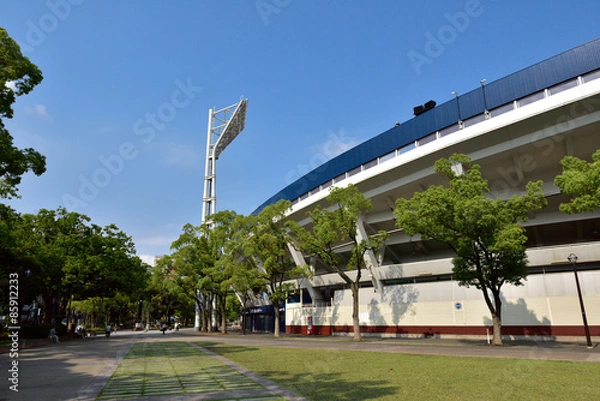 Fototapeta 横浜公園