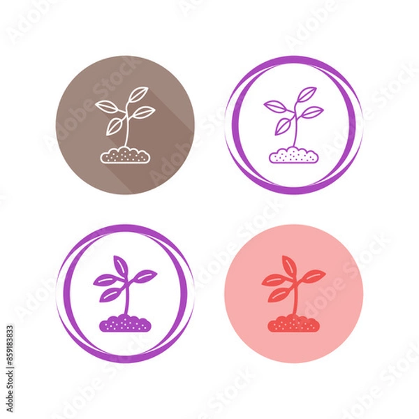 Fototapeta Plant Vector Icon