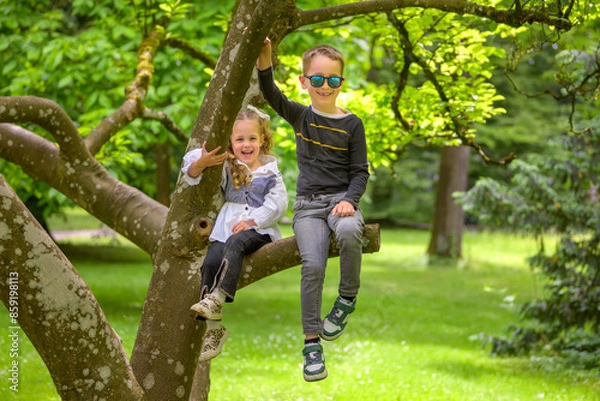 Obraz Children Sitting on Tree Branch in Park