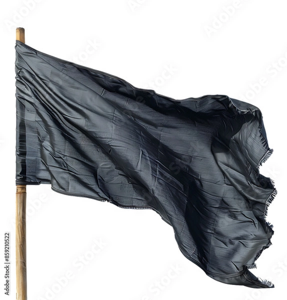 Fototapeta Blank black flag on pole on isolated transparent background