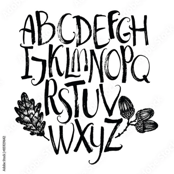 Fototapeta Vector alphabet with oak leaf and acorns