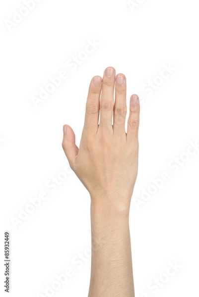 Fototapeta hand showing the five fingers