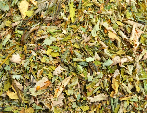 Obraz Dried Celandine