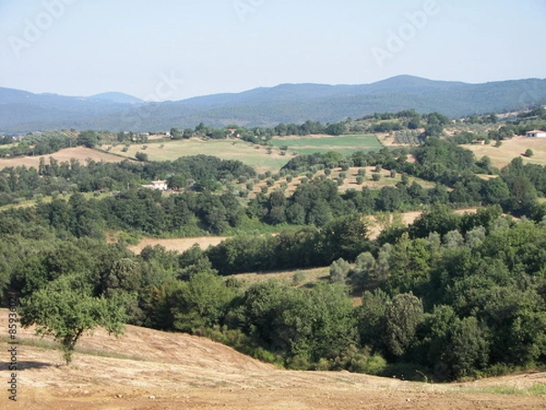Obraz La campagna toscana