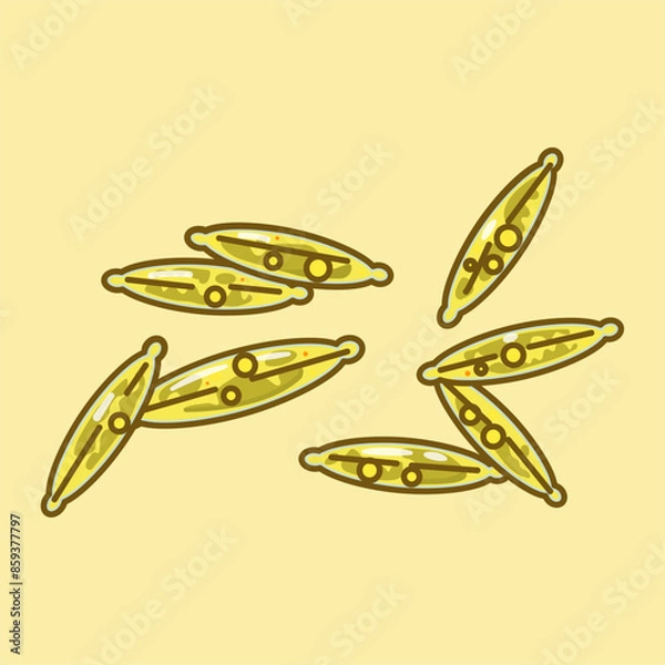 Obraz Phaeodactylum, a genus of diatoms, includes P. tricornutum, known for silica cell walls, photosynthesis, and biotechnological uses. It plays a vital role in marine ecosystems as a primary producer