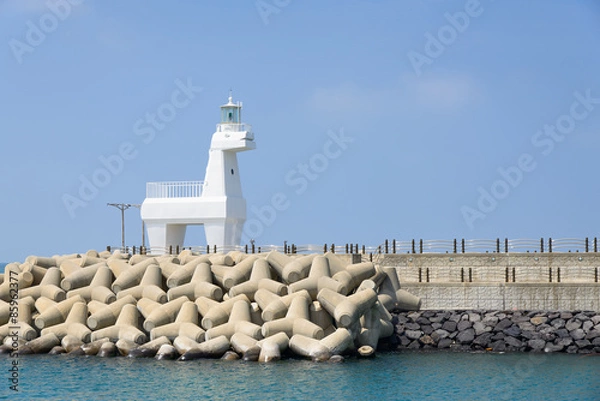 Obraz horse shaped lighthouse