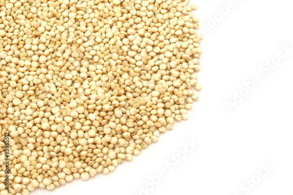 Fototapeta Quinoa Gold on White Background