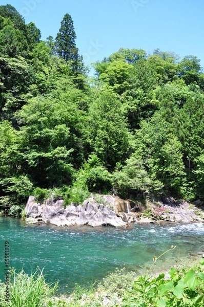 Obraz 初夏の風景