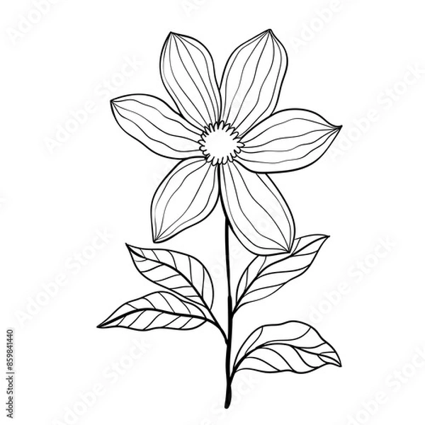 Obraz Hand drawn simple flower outline