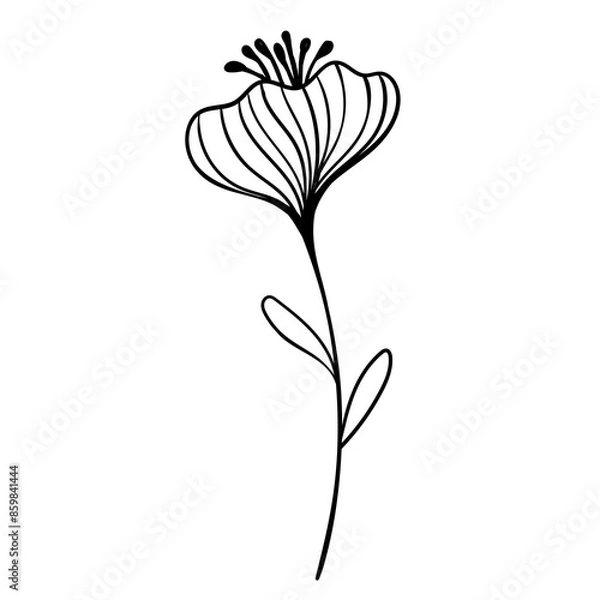 Obraz Hand drawn simple flower outline