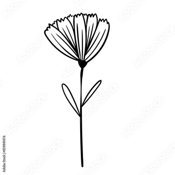 Obraz Hand drawn simple flower outline