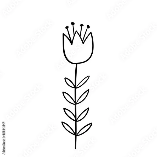 Obraz Hand drawn simple flower outline