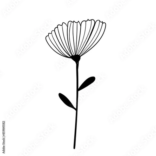 Obraz Hand drawn simple flower outline