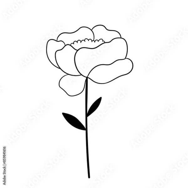 Obraz Hand drawn simple flower outline