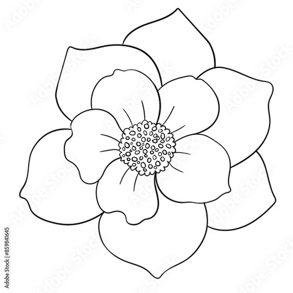 Obraz Hand drawn simple flower outline