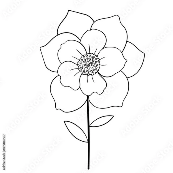 Obraz Hand drawn simple flower outline