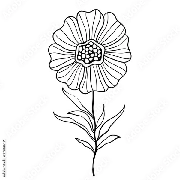 Obraz Hand drawn simple flower outline