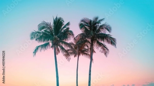 Fototapeta Tropical Sunset with Palm Trees Silhouette