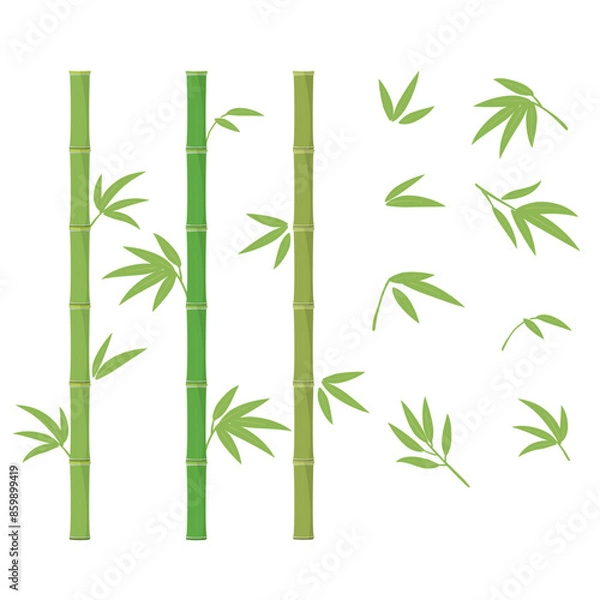 Fototapeta Green bamboo illustration, Vector design elements set.
