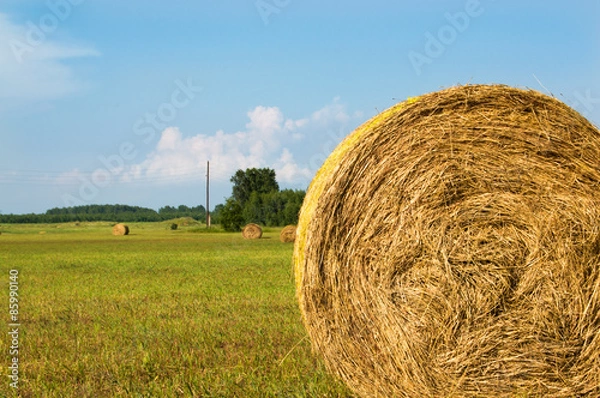 Obraz рулон сена на поле