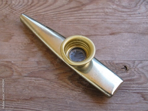 Obraz Kazoo