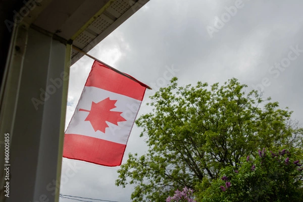 Fototapeta A Canadian flag waving outside a building against a cloudy sky with a tree in the background.