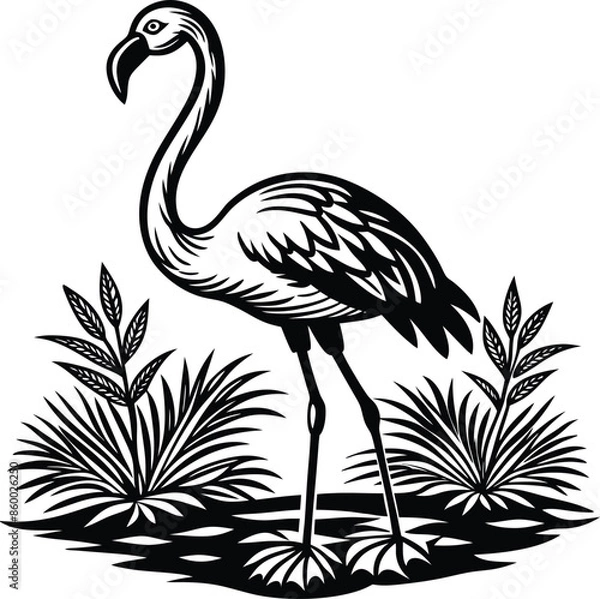 Fototapeta Graceful Flamingo Standing on Lake Shore, Isolated on White background