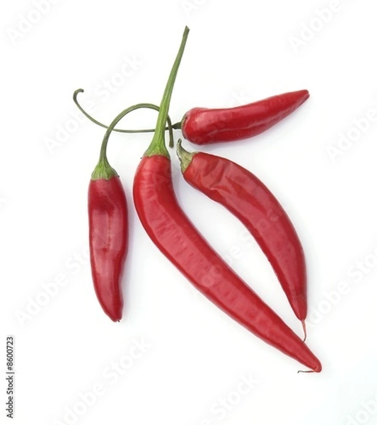 Obraz hot pepper
