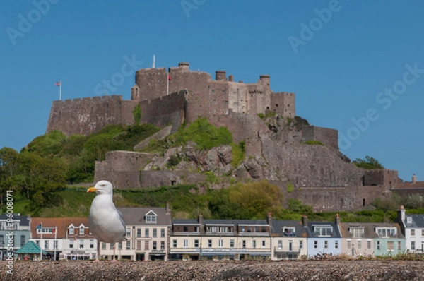 Obraz Seagull near Mont Orgueil castle