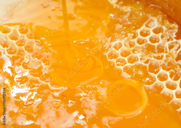 Fototapeta honey and honeycomb