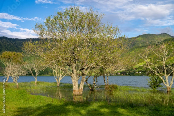 Obraz landscape with lake