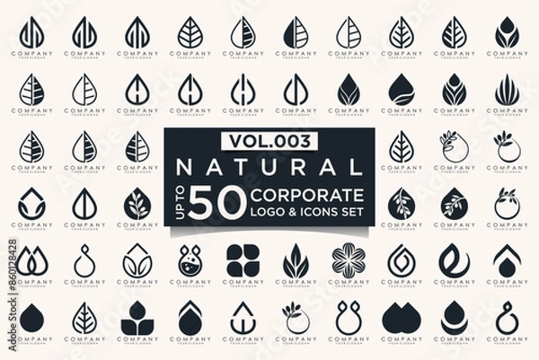 Fototapeta creative leaf logo icon set. Abstract design eco logo, green leaf seedling, growing plant.