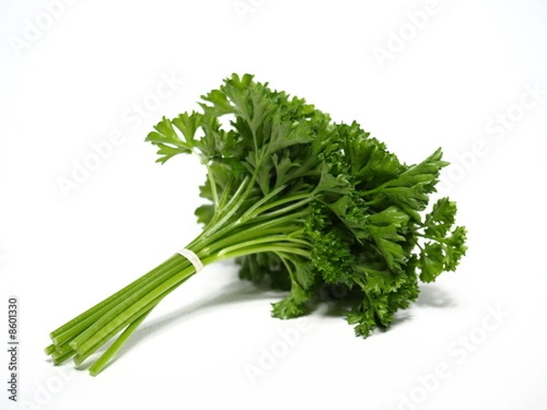 Fototapeta bouquet  de  persil