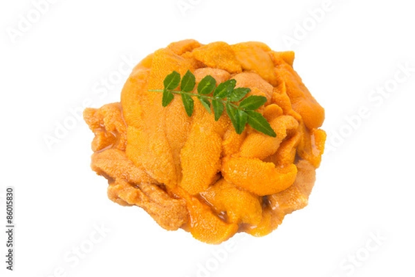 Fototapeta 生うに