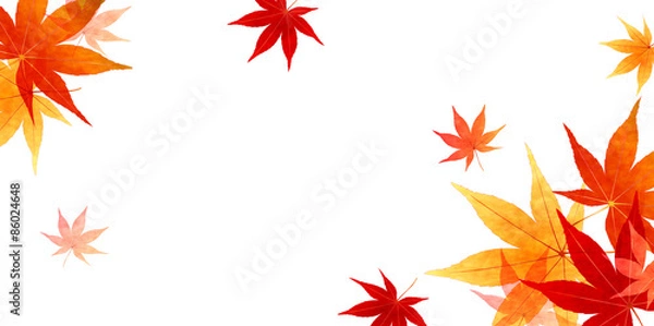 Fototapeta もみじ　紅葉　背景