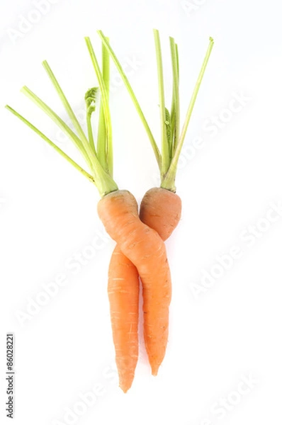 Obraz Carrots