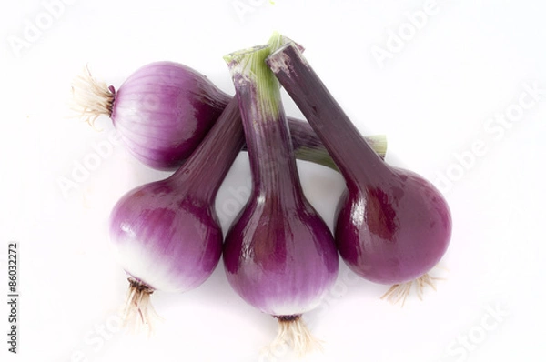Obraz Red onion isolated on white background