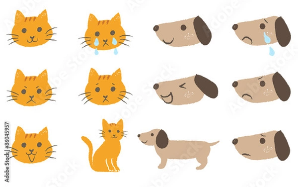 Fototapeta 犬と猫の表情