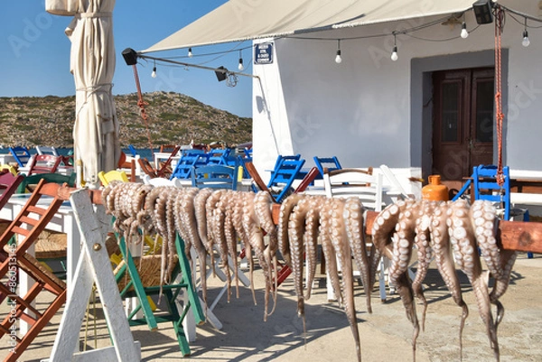 Obraz taverna greca con polipi appesi