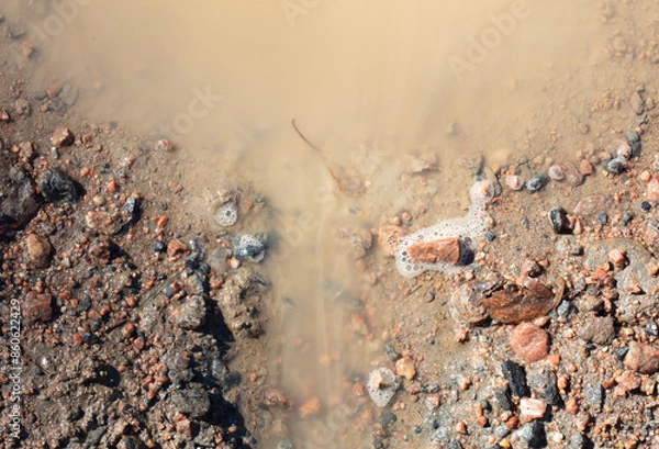 Obraz Brown puddle on the forest floor in Finland